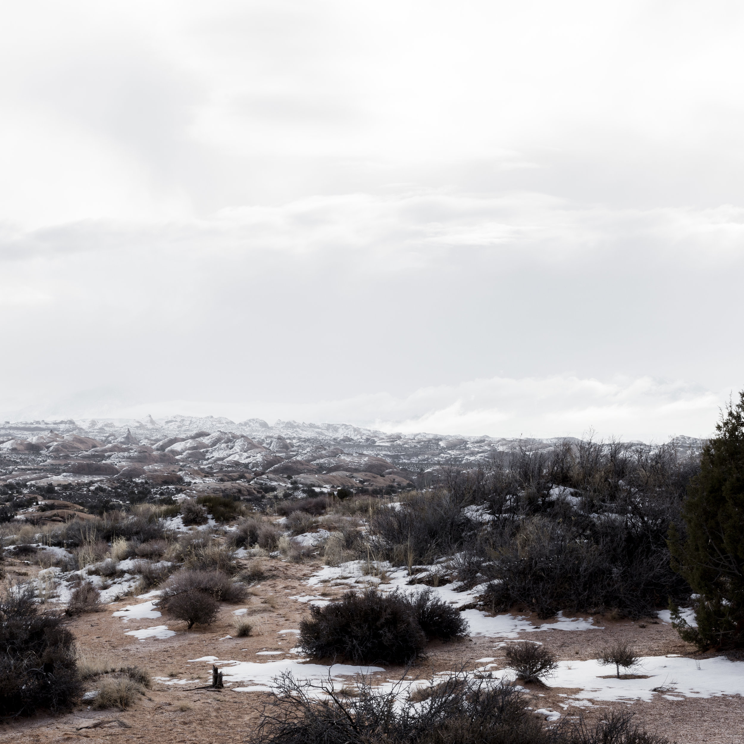 Moab Landscape - 5