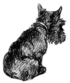 1498158811332.png