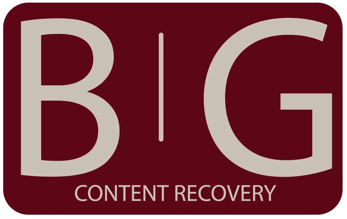 B.I.G._Logos_2024_Content_Recovery.jpg