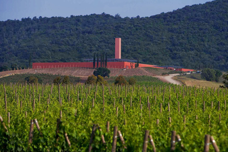  The celebrated Renzo Piano-designed winery Rocca di Frassinello 