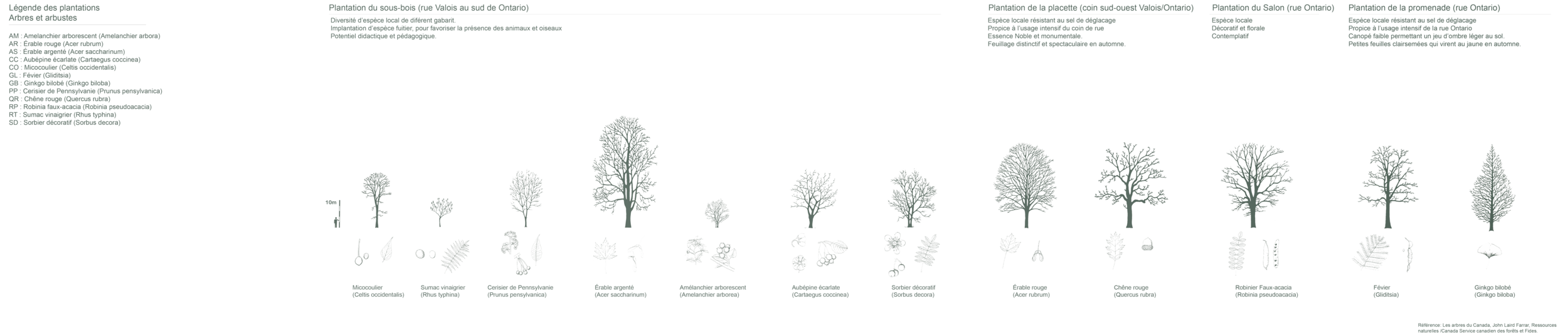 Arbres-web.png