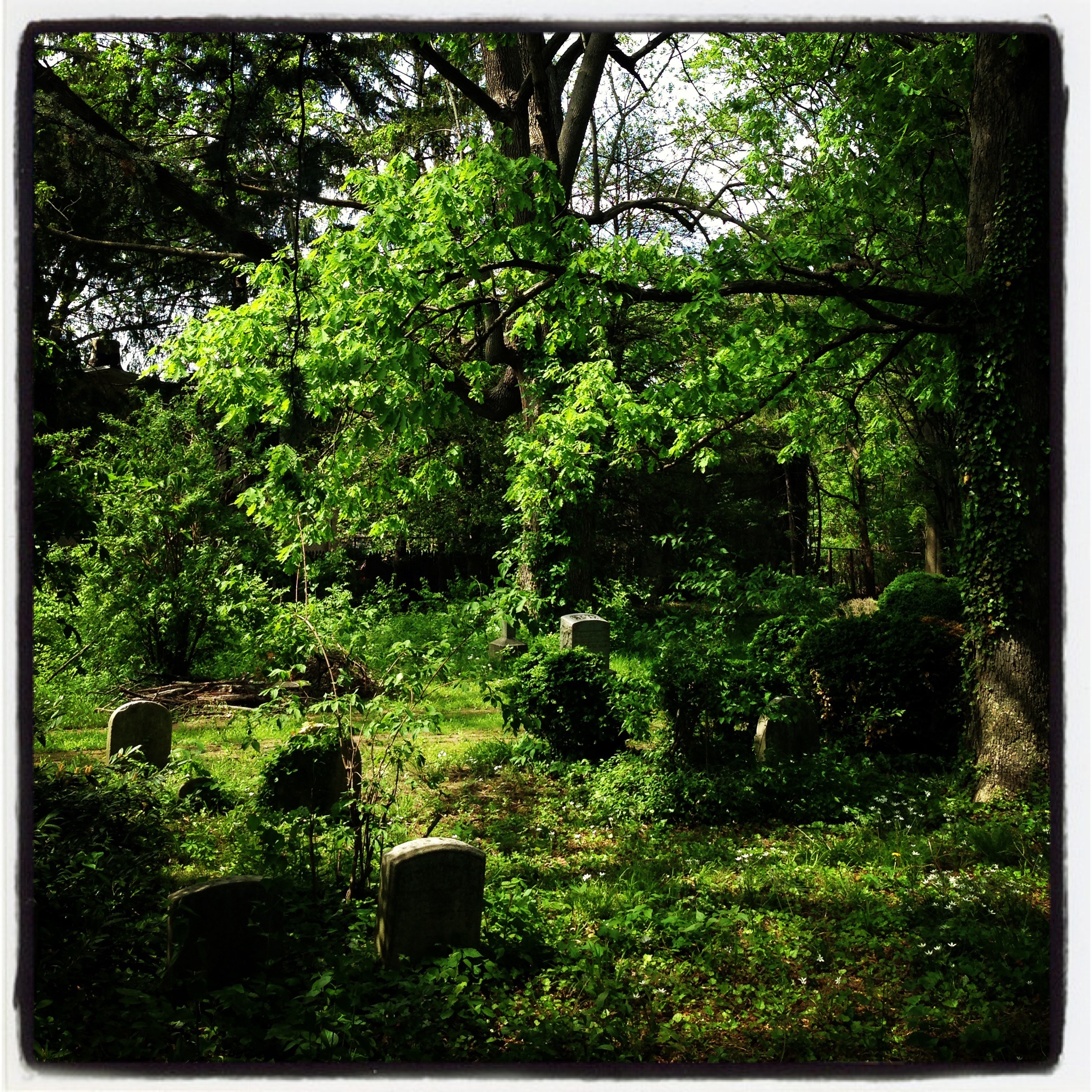 trinitylutherancemetery.jpg