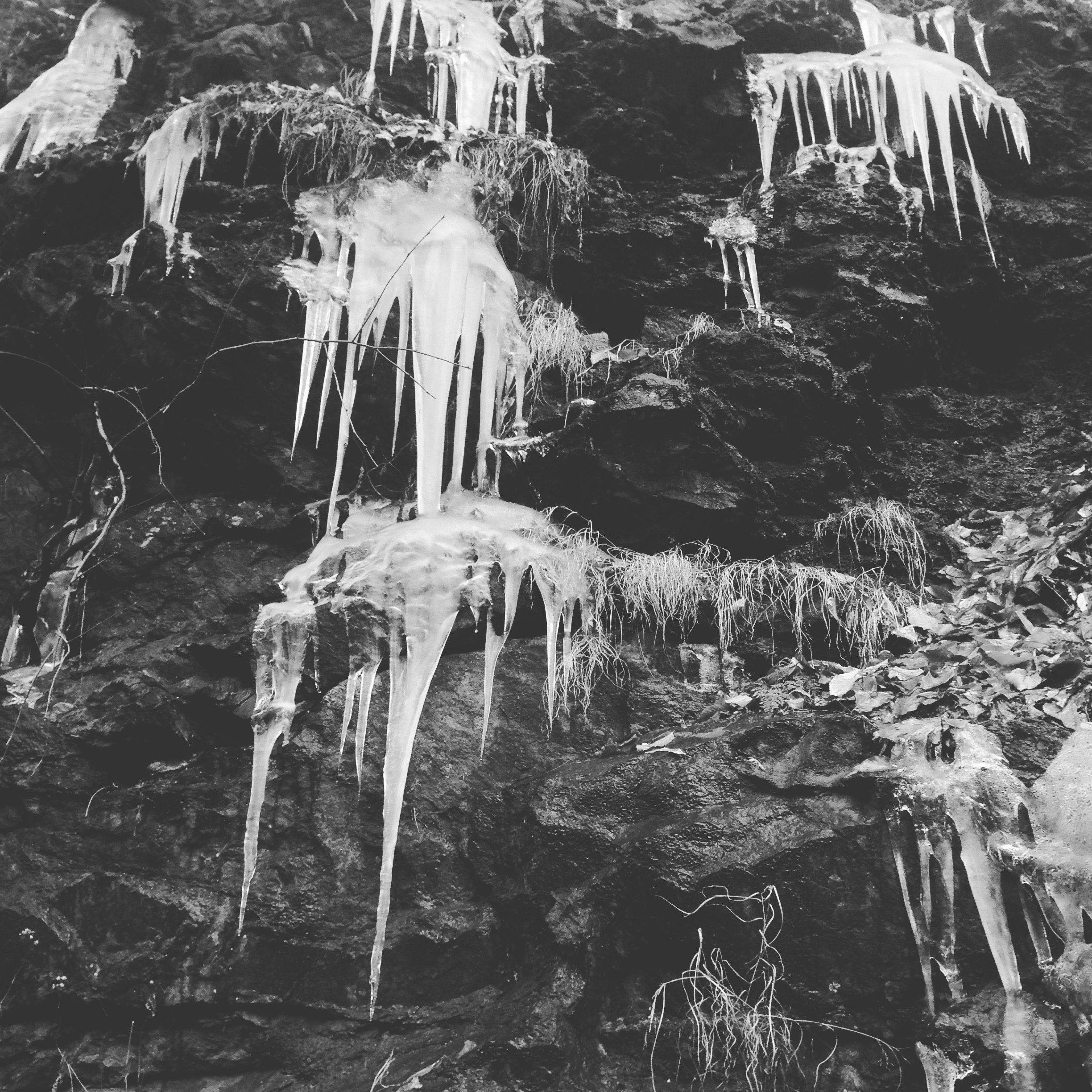 wissahickonwinter.jpg