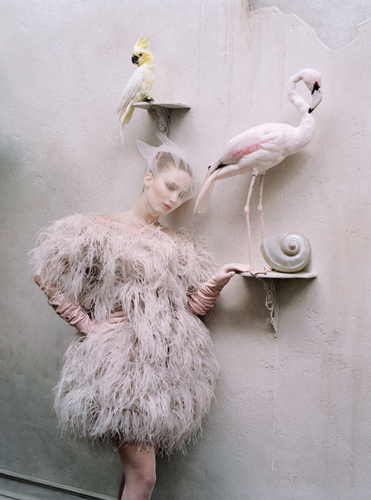 tim walker alexander mcqueen