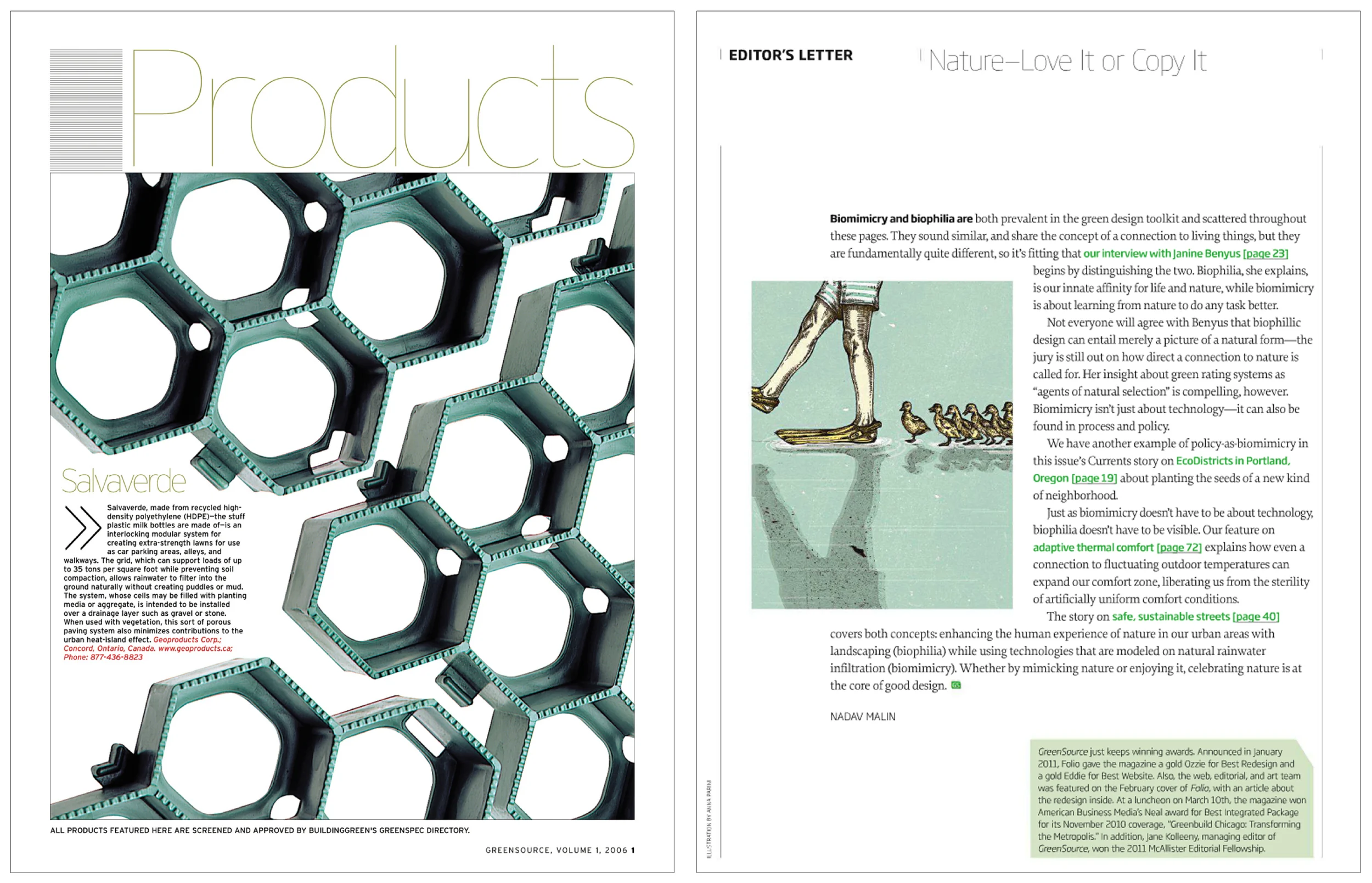   ILLUSTRATION BY    Anna Parini 