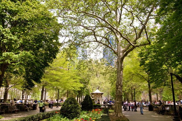 Rittenhouse