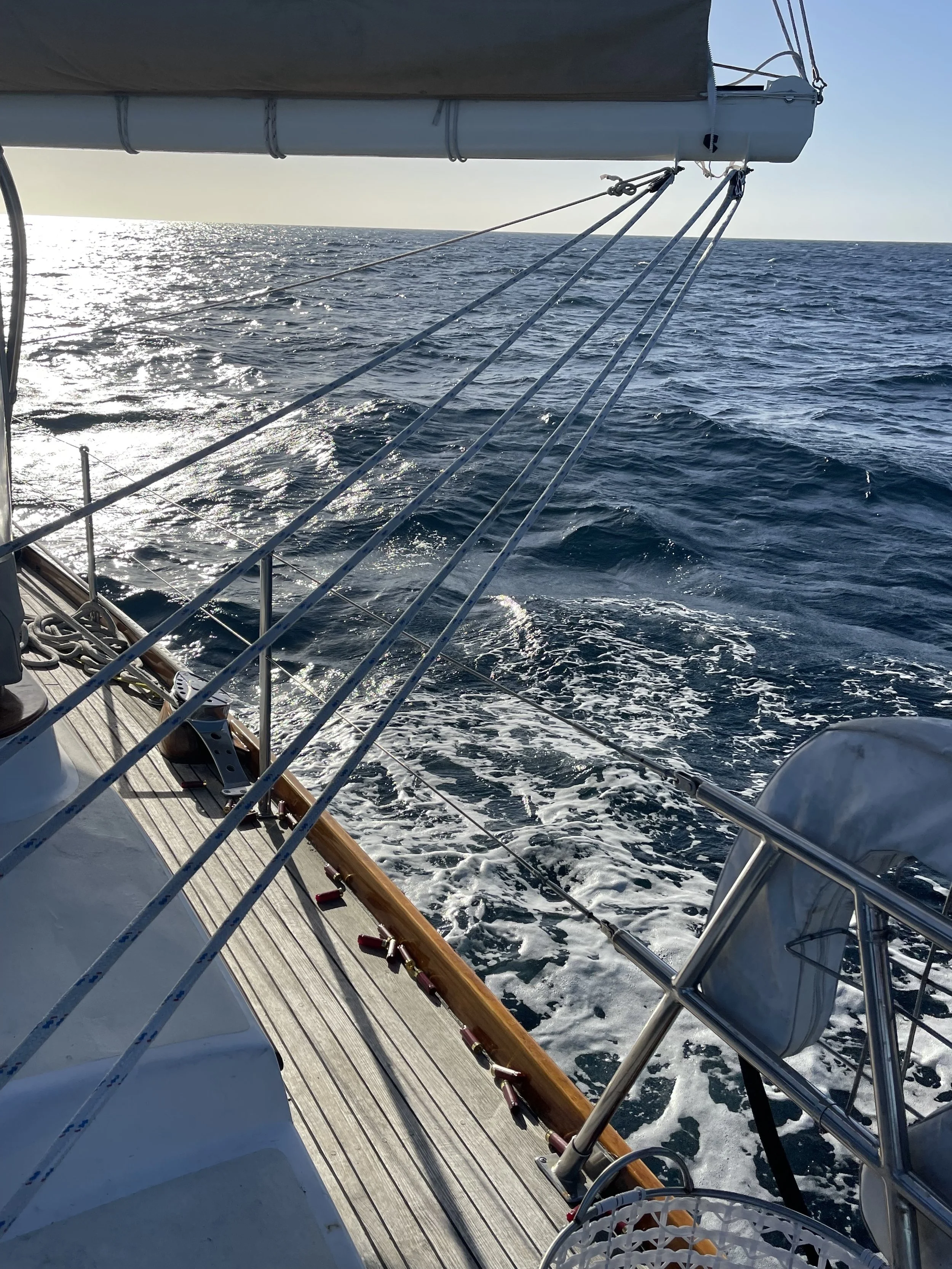 My Eventful Sailing Trip to Palm Beach