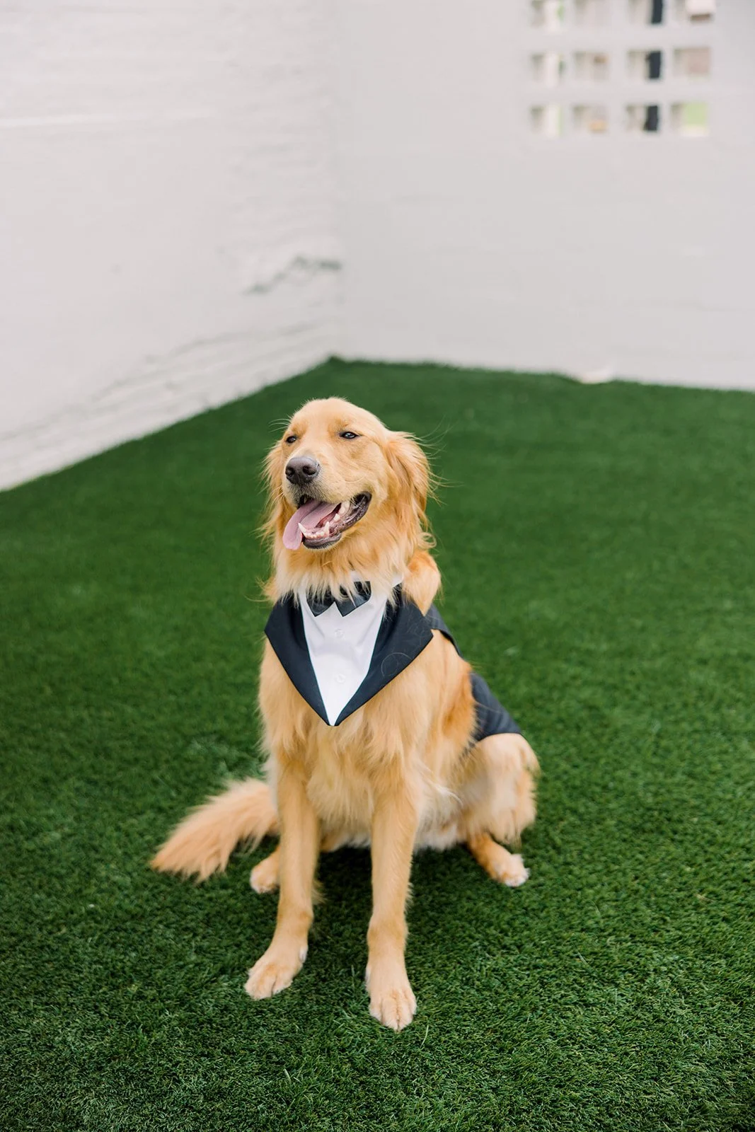 Cari-Ann & Logan Wedding-52.jpg