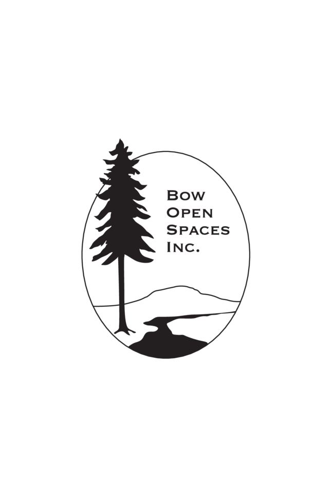 Logo- BOS higher quality.png