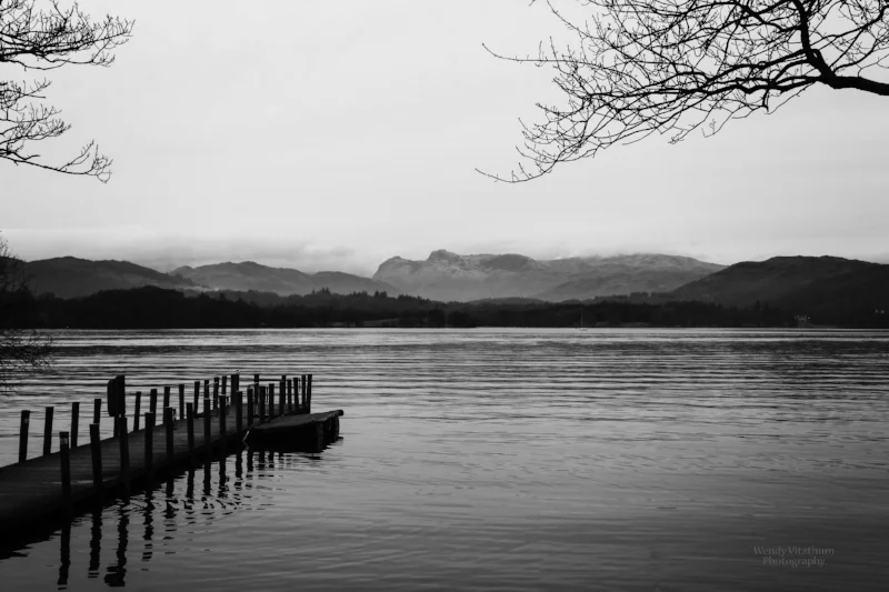 Photography and nature make me happy. It is how I "reset" when things aren't going well. When I combine both... I am totally rejuvenated. What ways do you take care of yourself?