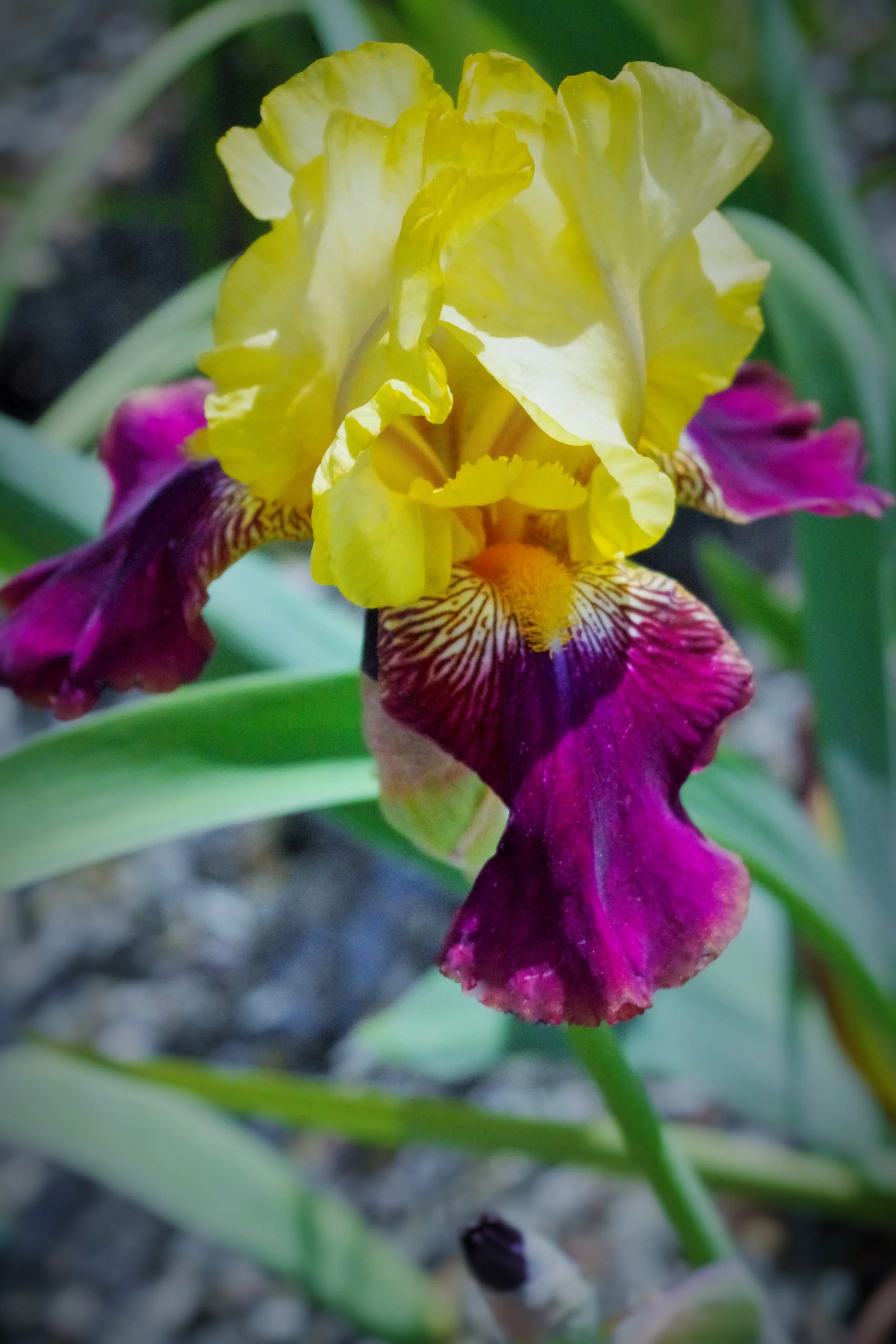 Our Services Willow Gardens Nursery — Willow Gardens Nursery