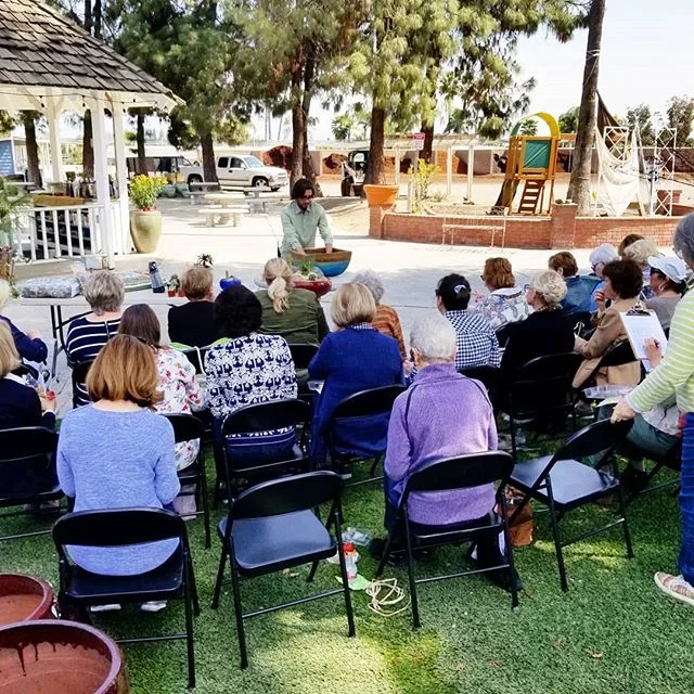 Plant of the day! Aloe Striata! — Willow Gardens Nursery
