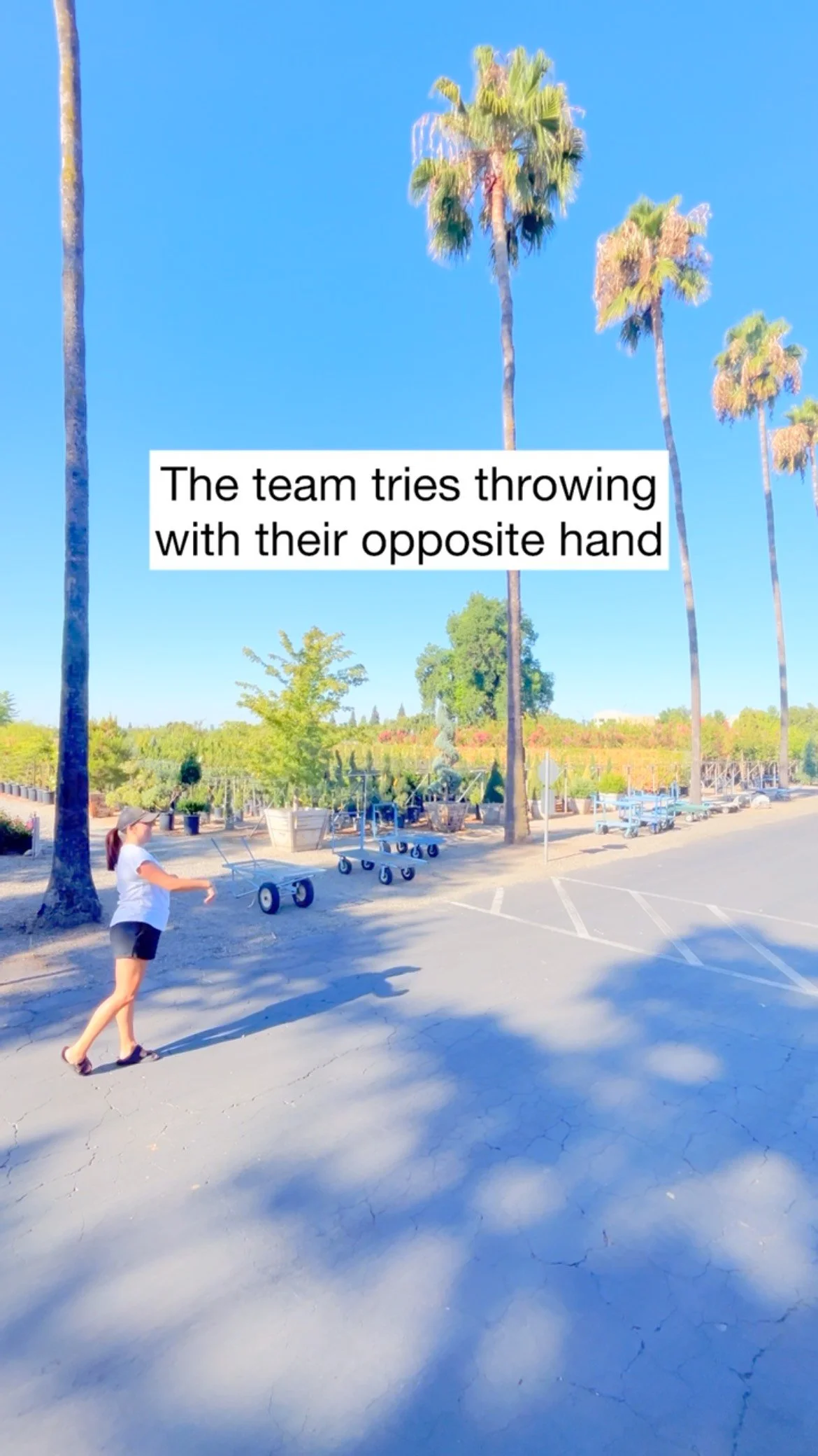 Slide 12