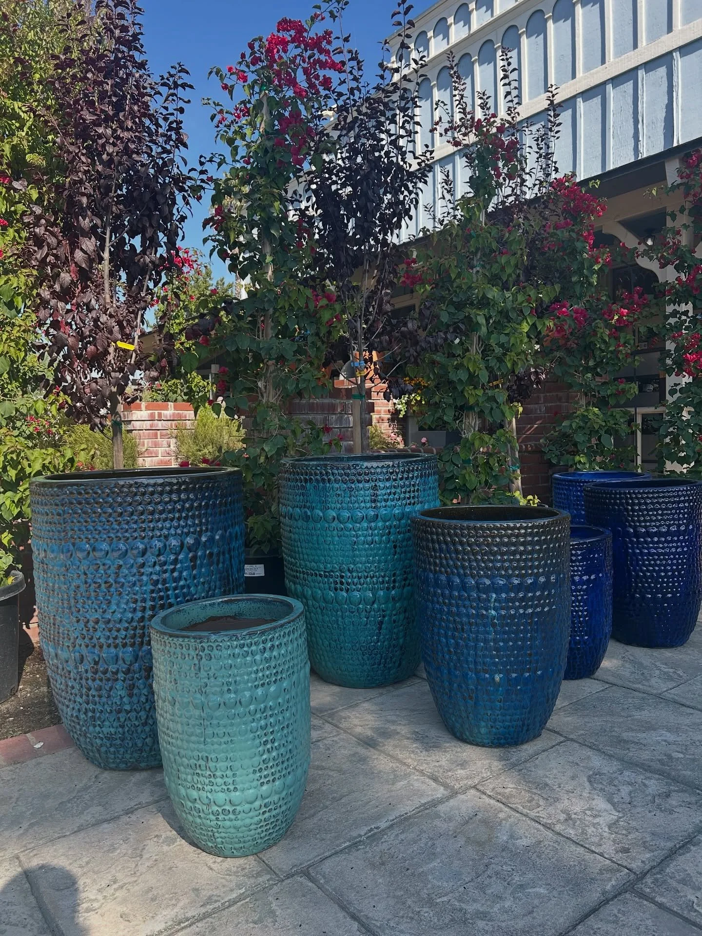 Look at all these big beautiful pots we got in. Aren’t they incredible? 
#pottery #plantnursery #fresnocalifornia #cloviscalifornia