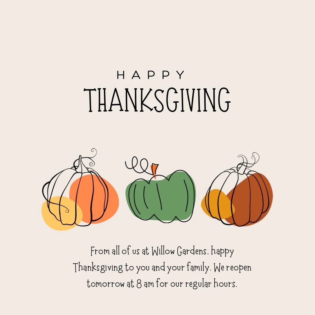 From all of us at Willow Gardens, happy Thanksgiving to you and your family.
