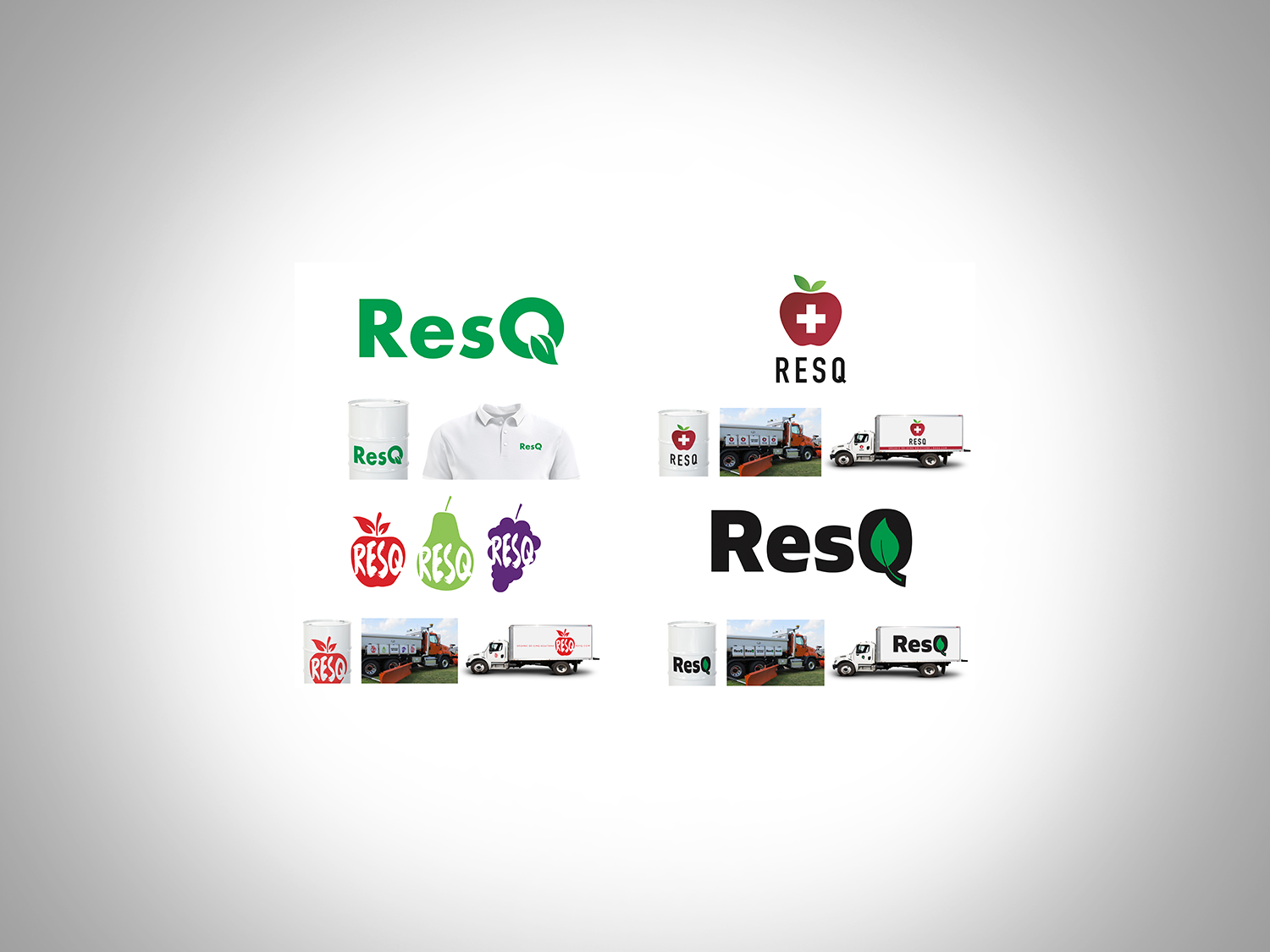 portfolio_pages_ResQ.png