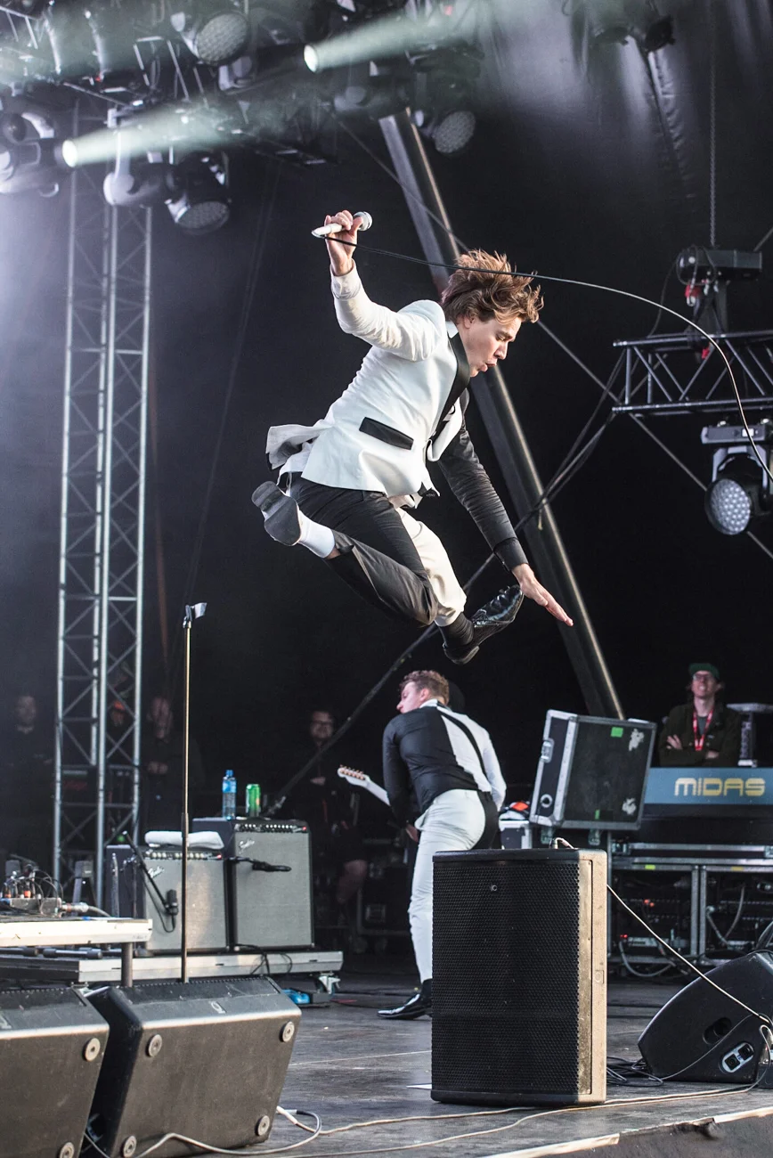 TheHives-25.jpg
