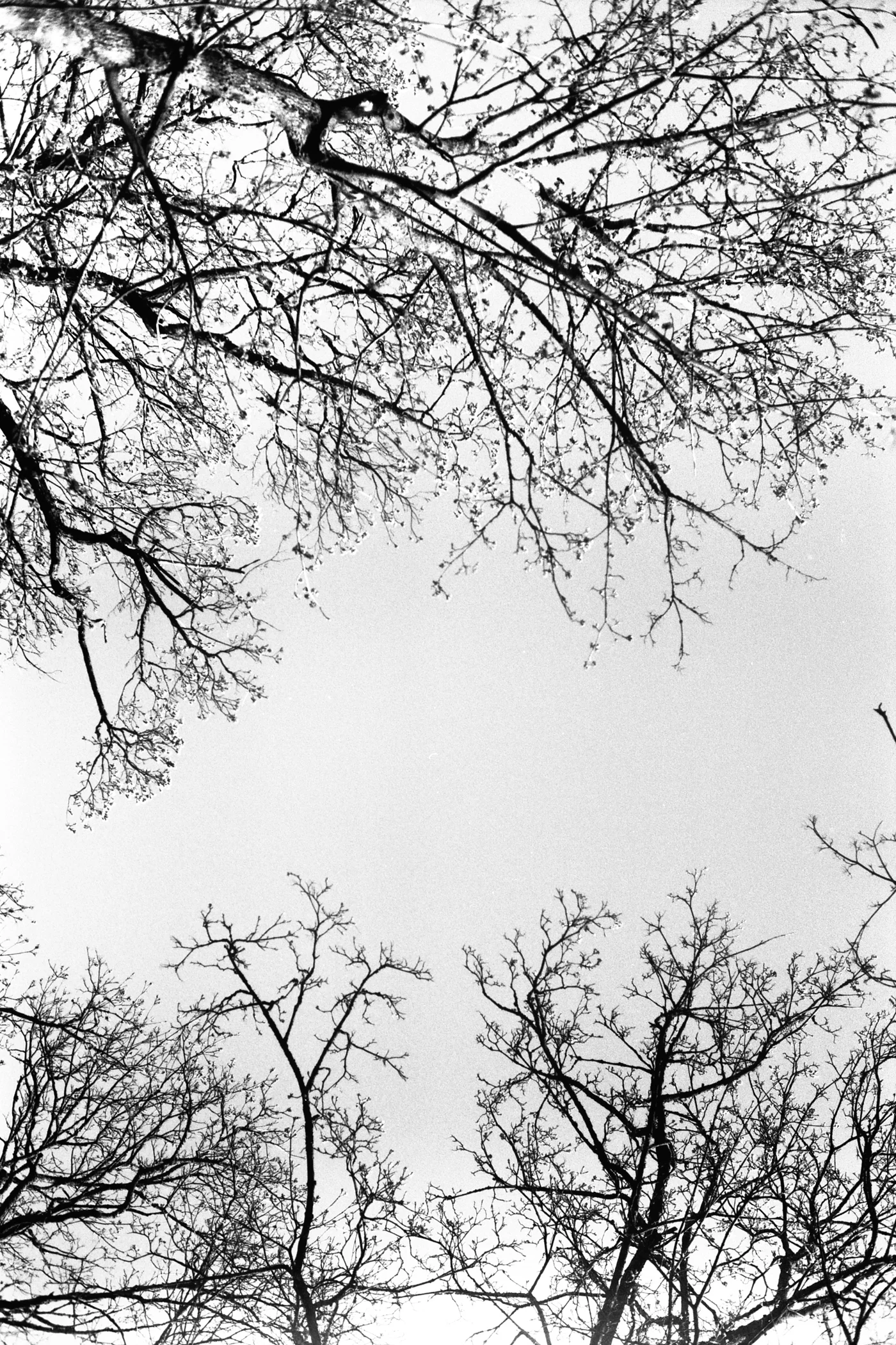 35mm_MIX_BW_WEB-4.jpg
