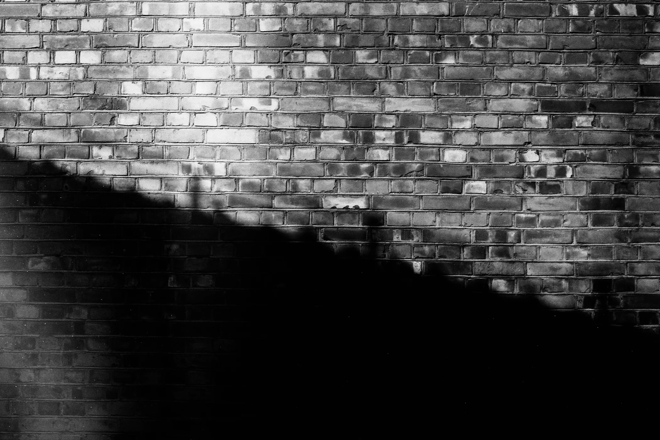35mm_MIX_BW_WEB-11.jpg
