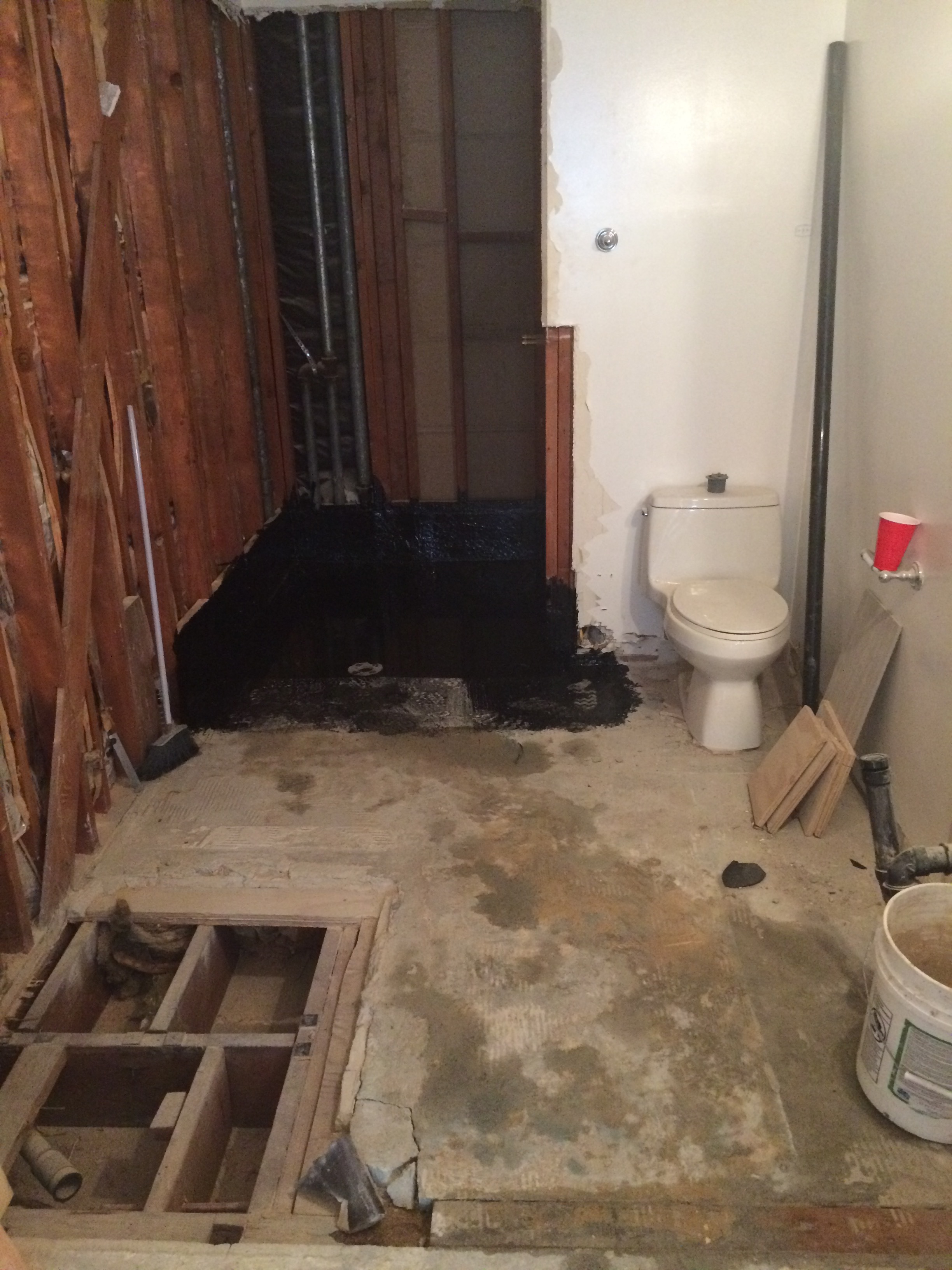 Demo complete down to the studs