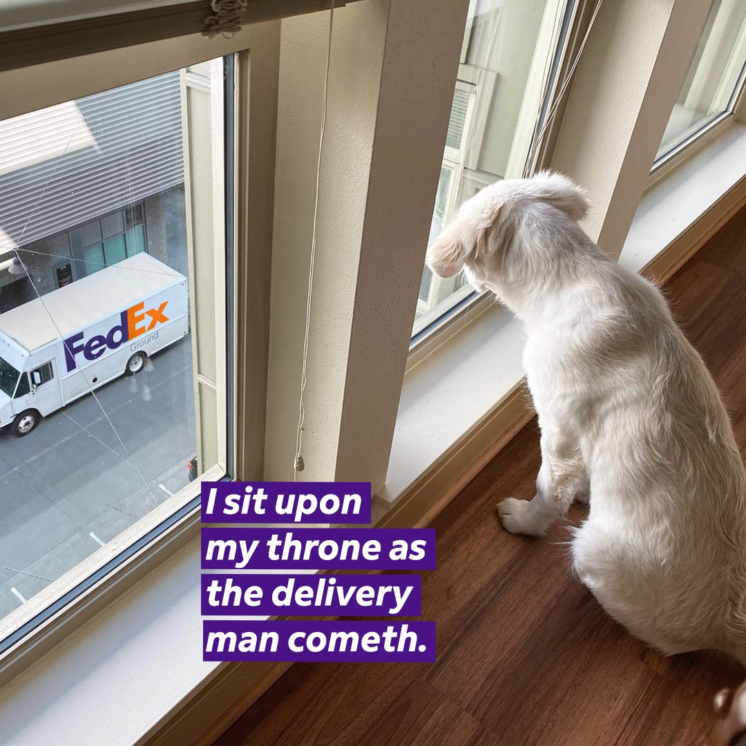 Fedex_DeliveryVibes_May_Option 1-2.jpg