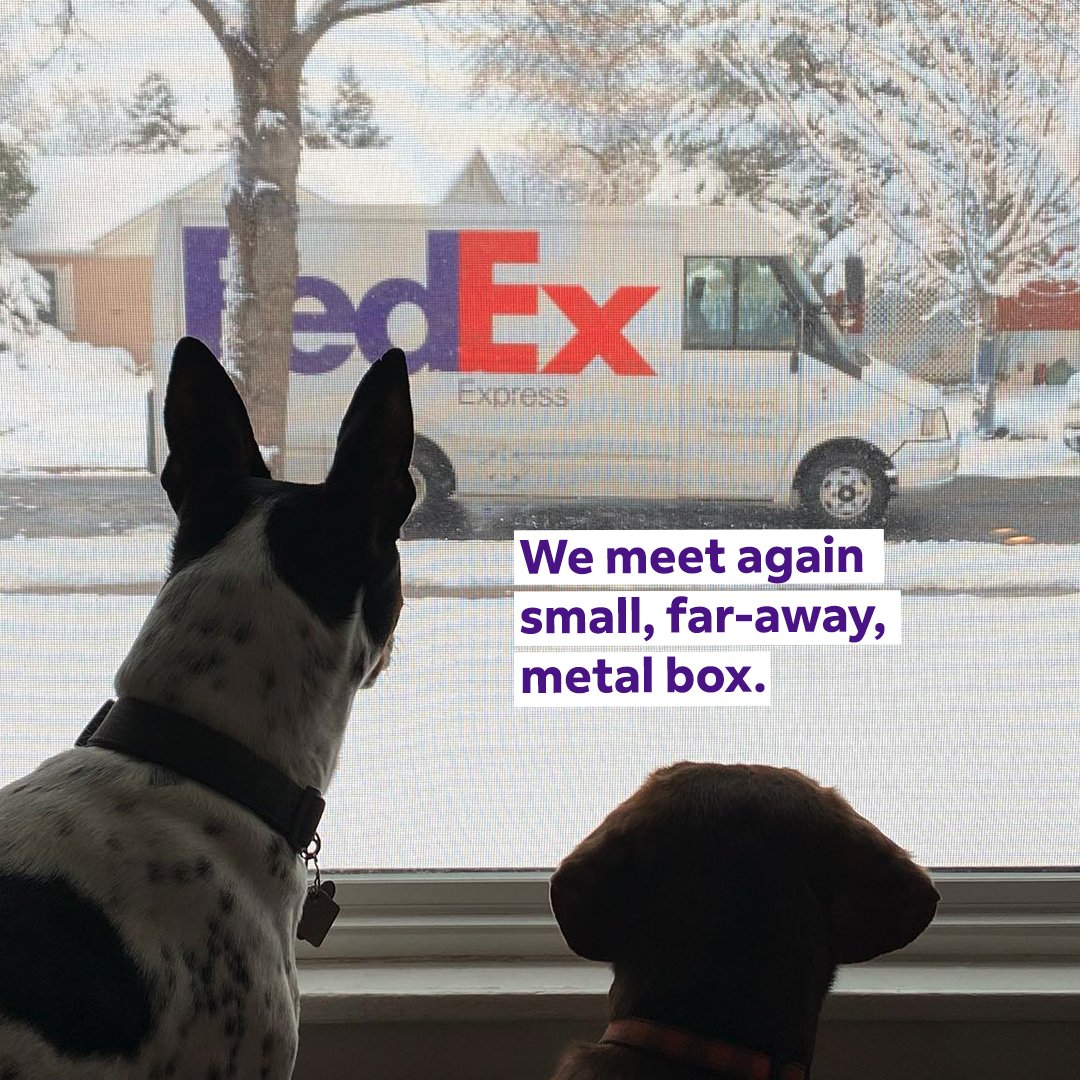 Fedex_DeliveryVibes_May_Option 1-1.jpg