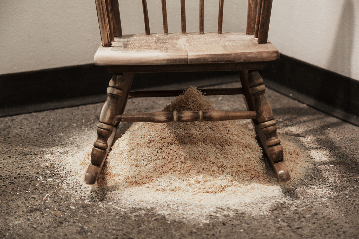 Firefly Night, Detail