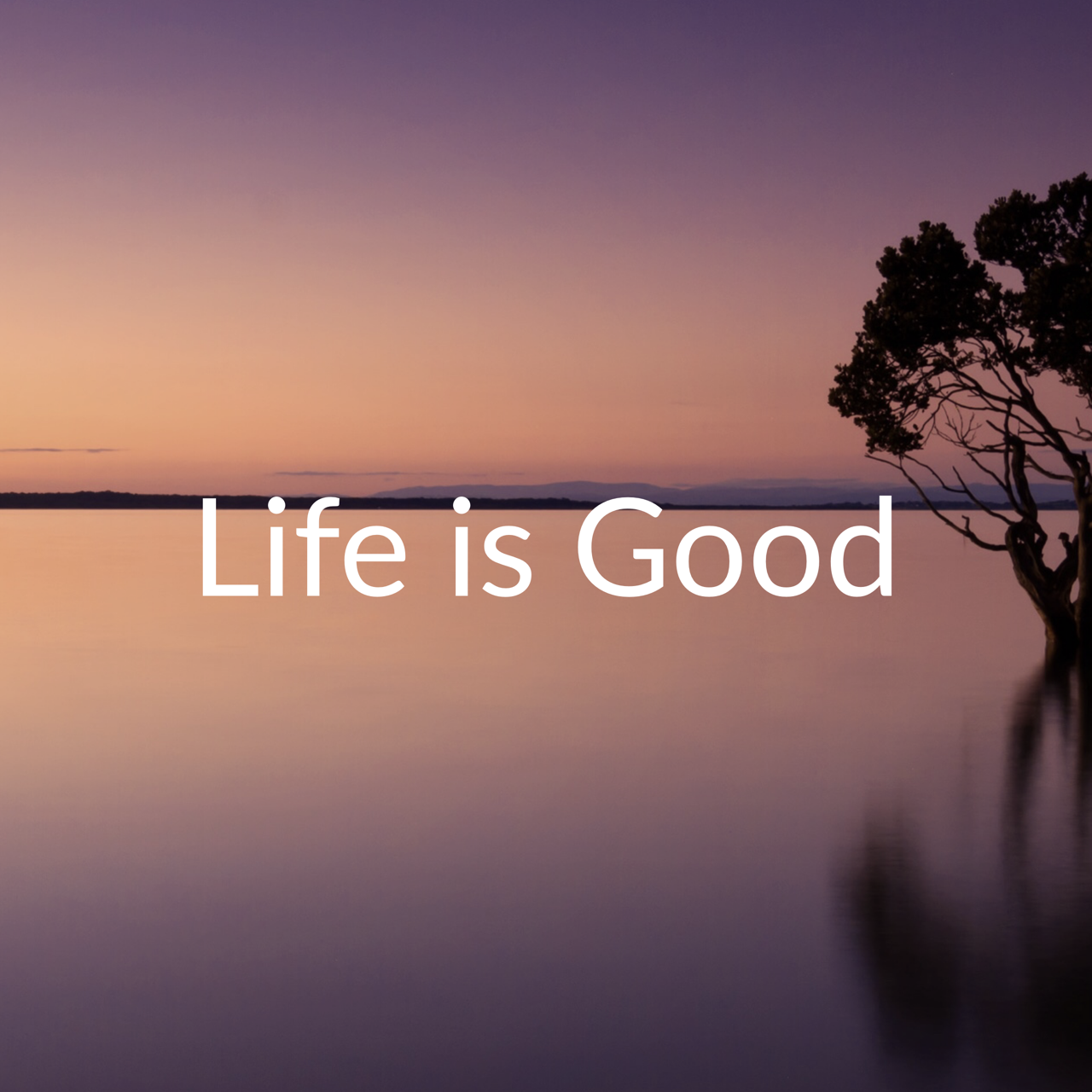 2019-08-04_life-is-good-title-card.png