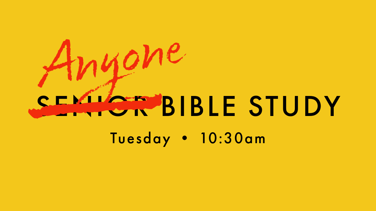 Anyone Bible Study