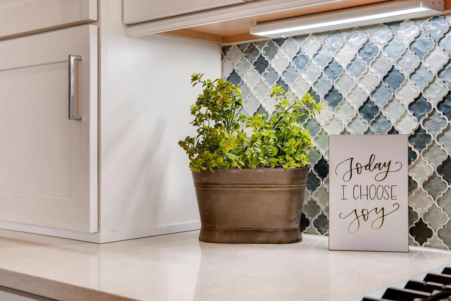 806 Hercules Place Colorado-large-006-10-Kitchen Detail-1499x1000-72dpi.jpg