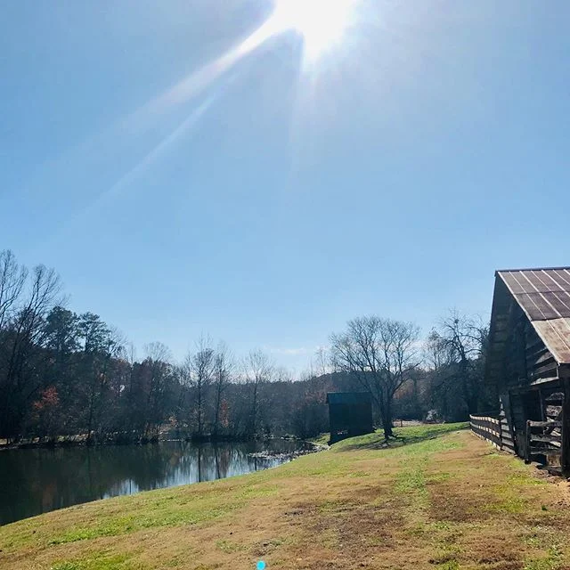🍁 North Georgia Fall 🍂 #georgiatravel #barnsleygardens #georgiaphotography