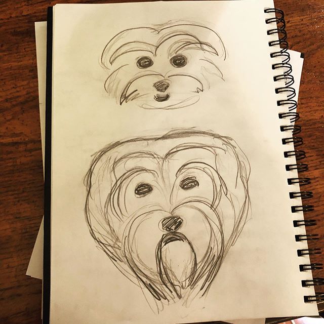 @billbill_and_noodlebrown 💩 #puppyfaces #godawgs #dorkiesofinstagram #rufflife #dorkie #dorkielove