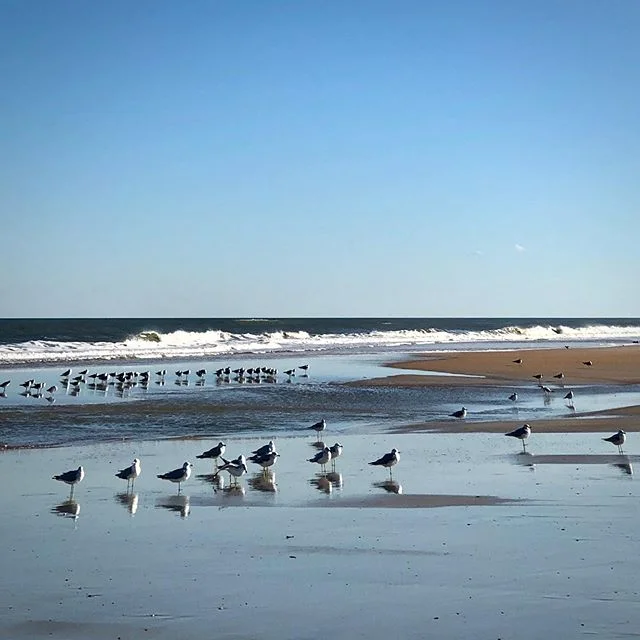 Beach day #staugustinebeach