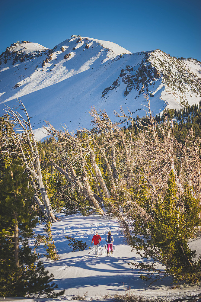 dcollierphoto_SID11895_mammoth%2C_ca.jpg