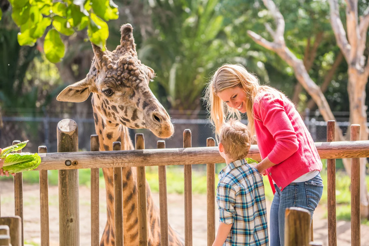Santa Barbara, California , Zoo