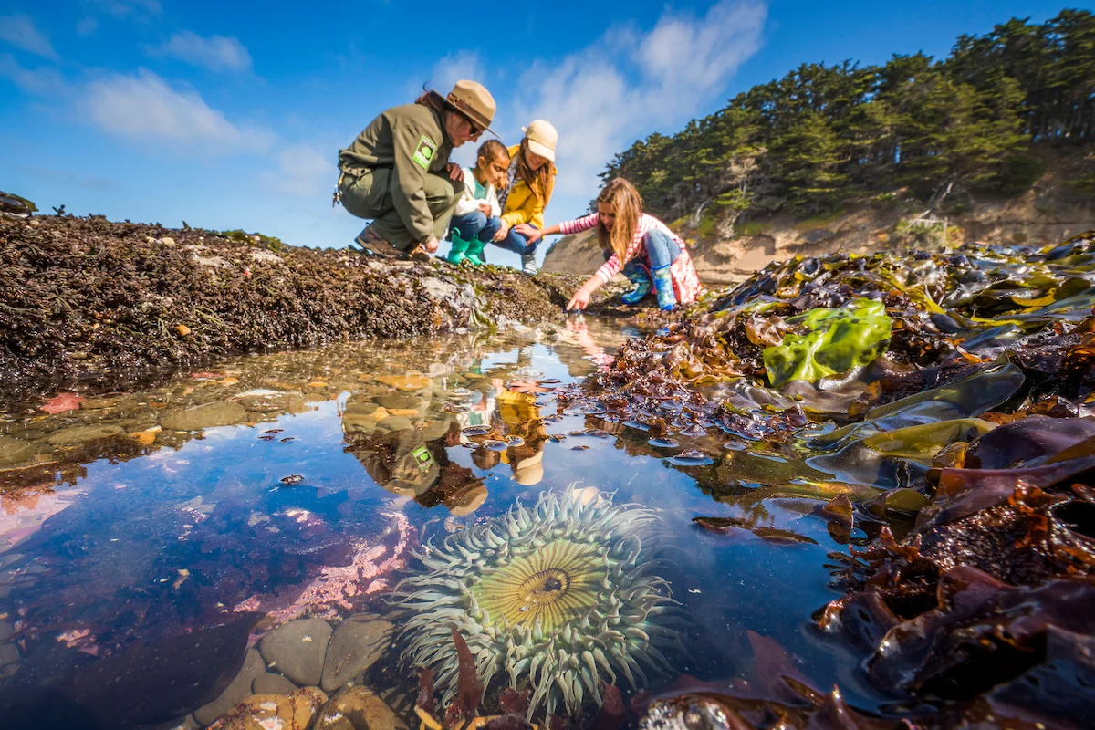 Tide Pools, Fitzgerald Marine Reserve, Moss Beach, California