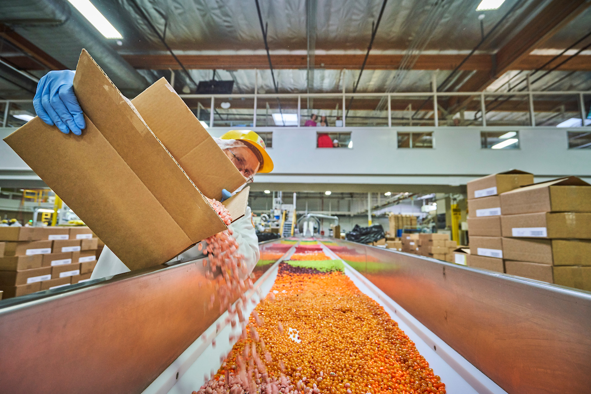  Jelly Belly Factory Tour, Fairfield, California 