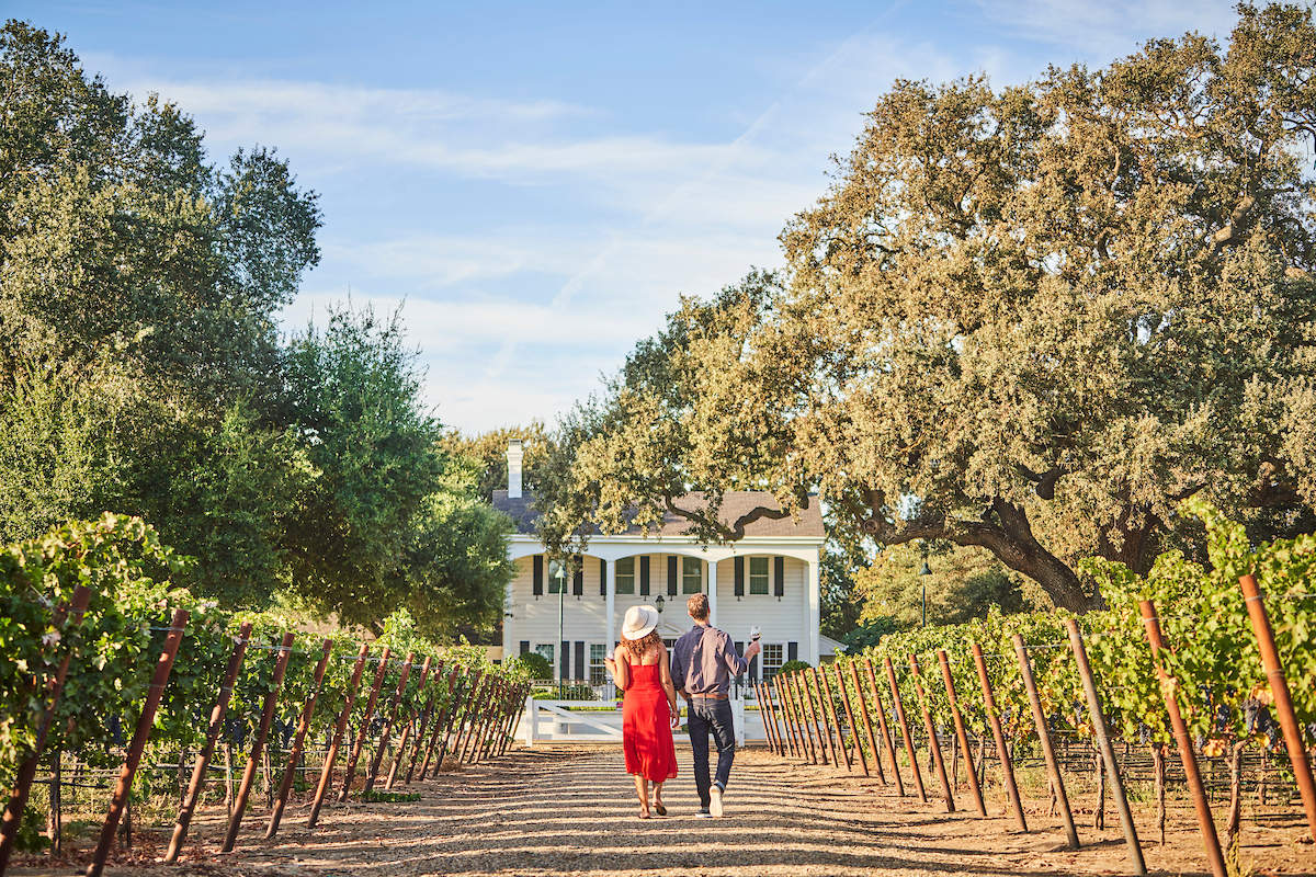  Oak Farm Vineyards, Lodi, CA Oak Farm Vineyards, Lodi, California 