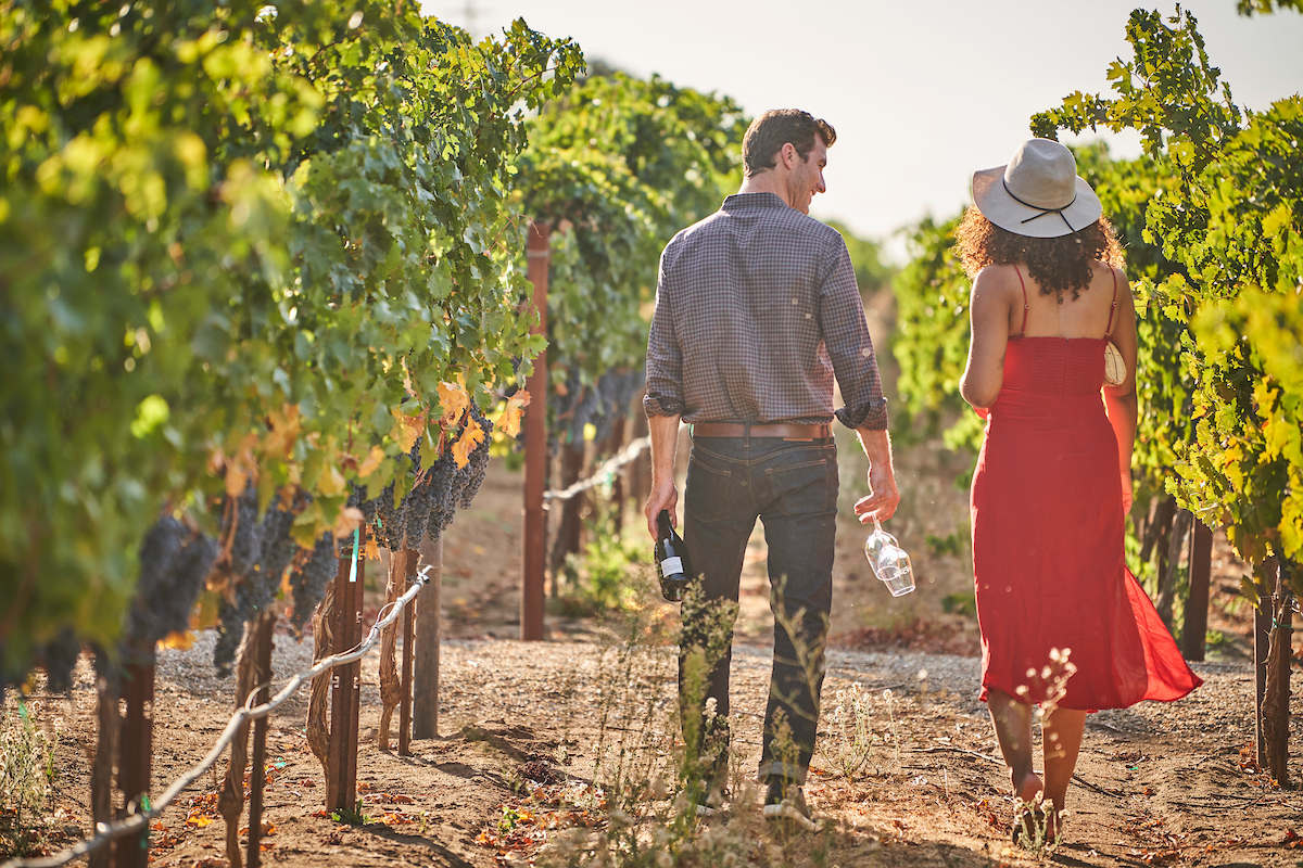  Oak Farm Vineyards, Lodi, California 