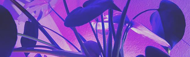 PLANTS-2.jpg