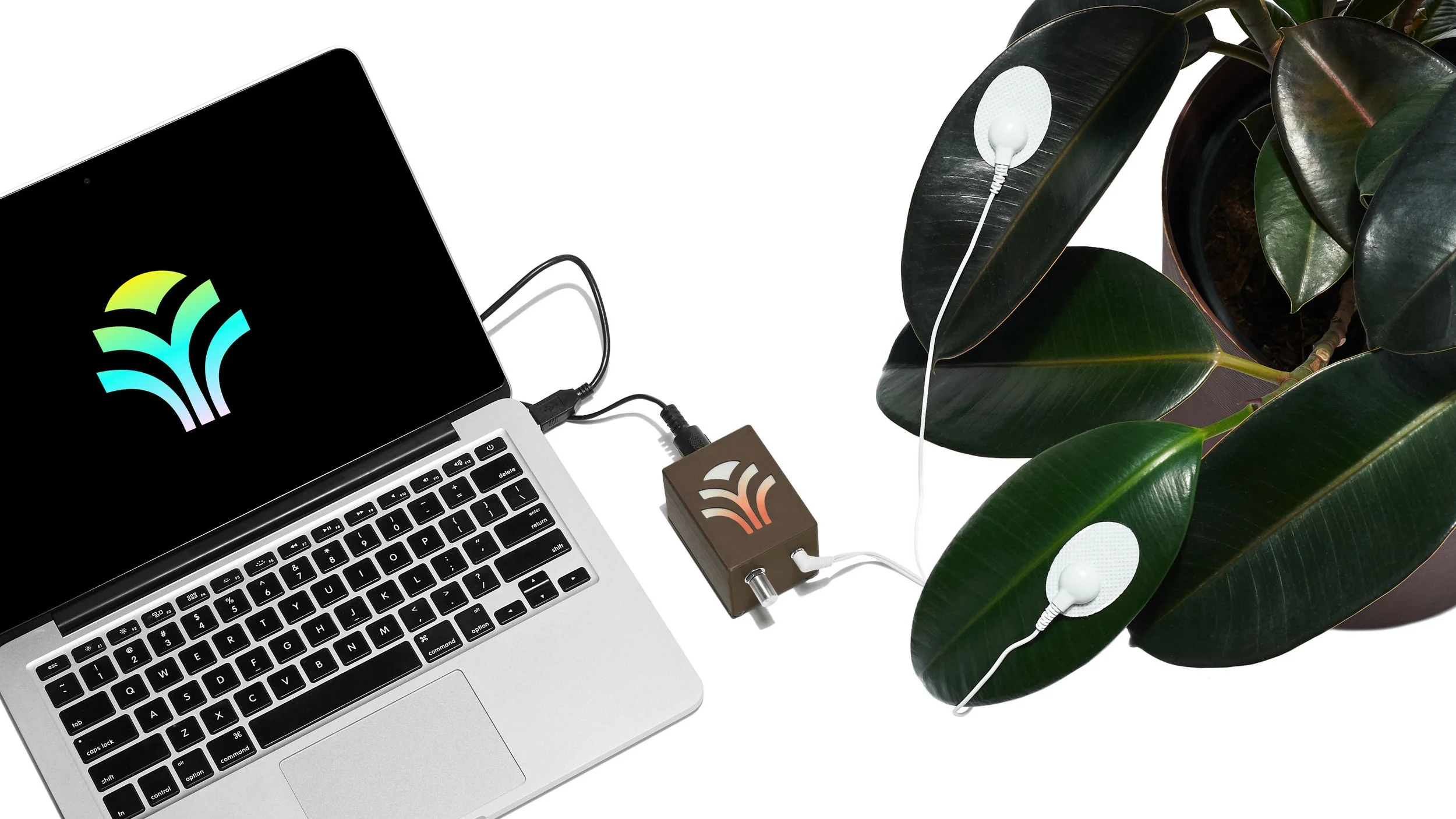 Bioplastic_Midi-Sprout_Connected_To_Laptop_Warm_Final_Brown.jpg
