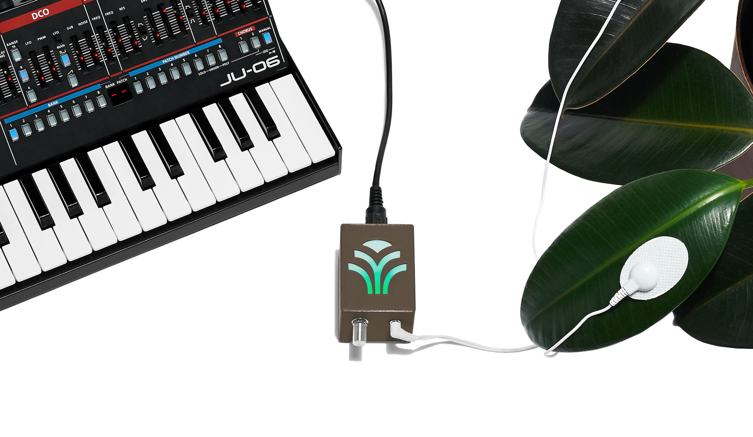 Bioplastic_Midi-Sprout_Connected_To_Synth_Final_Brown.jpg