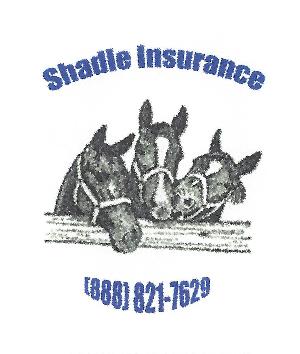 Shadle Insurance-page-001.jpg