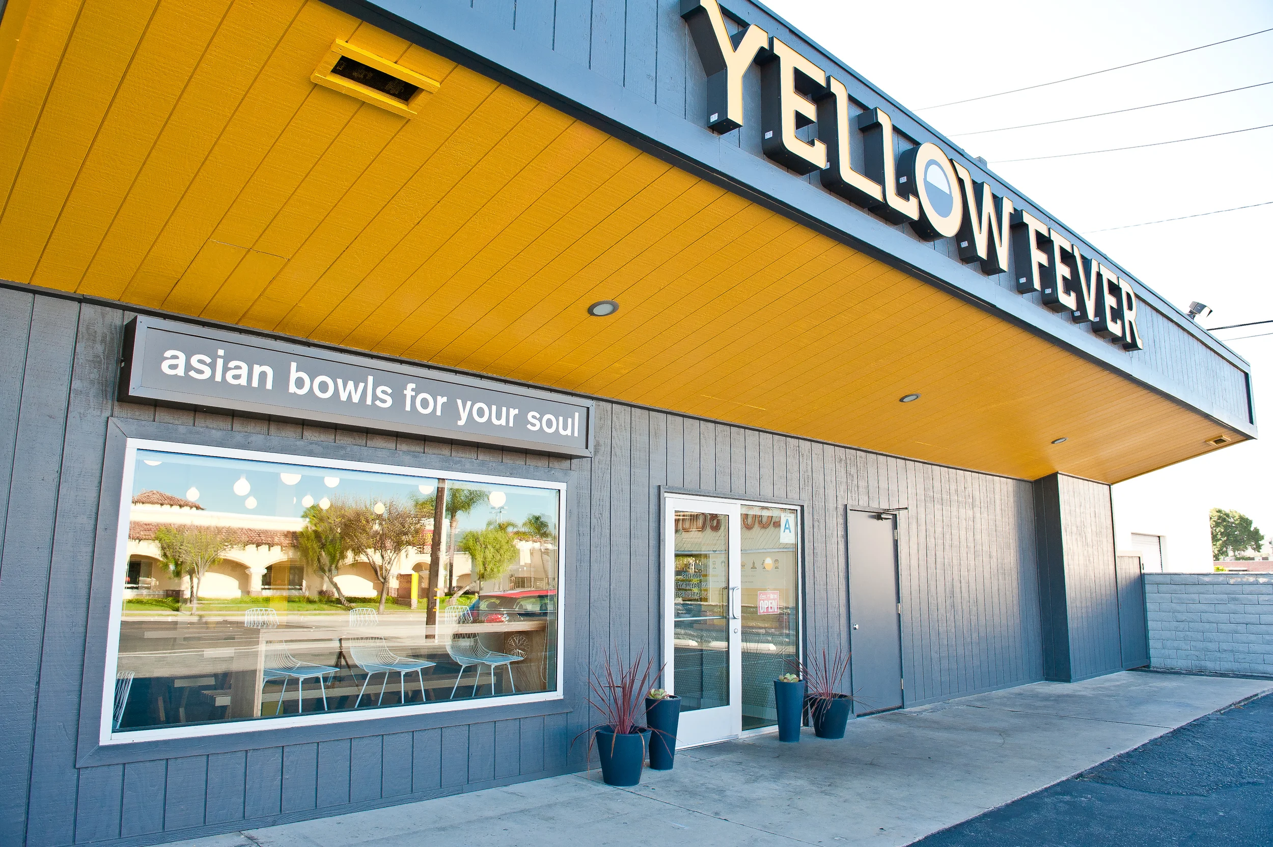 BONUS EPISODE: The Cure for Yellow Fever (w/ Dakota Kim)