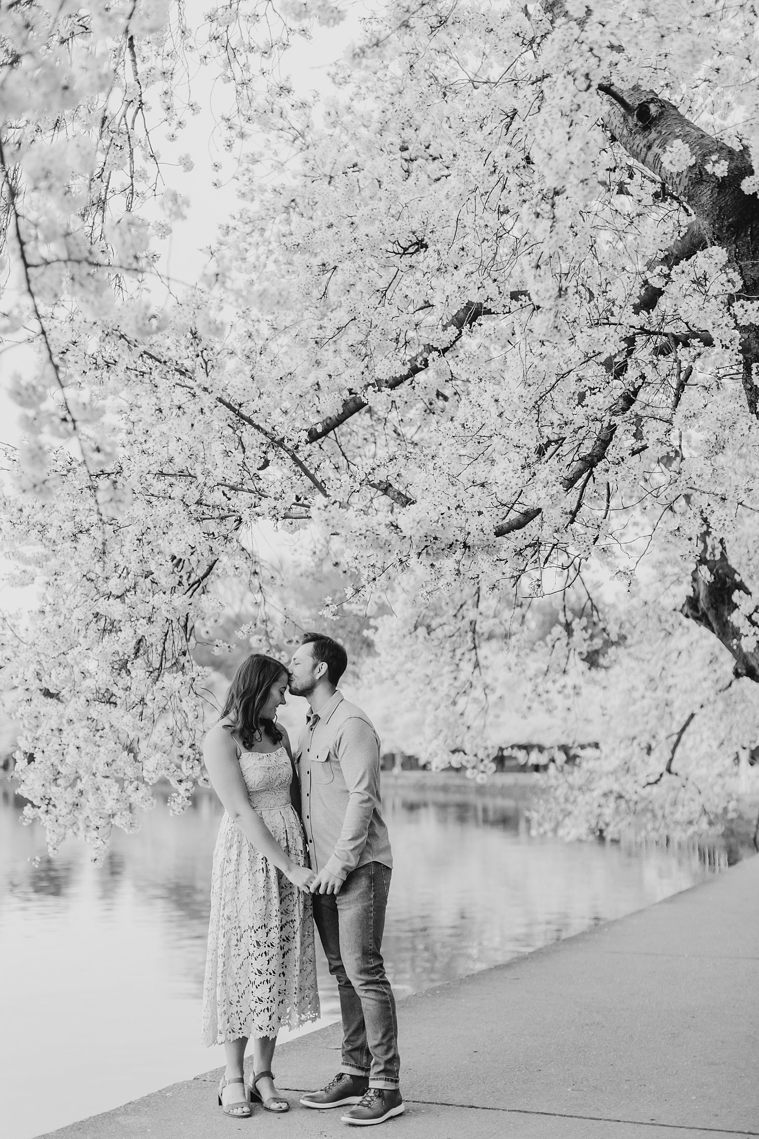 sarah-schmidt-photography-dc-wedding-photographer-tidal-basin-cherry-blossom-engagement-session_0007.jpg