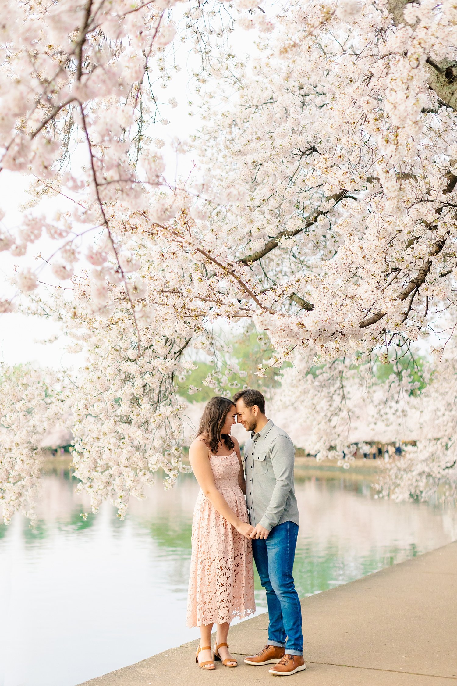 sarah-schmidt-photography-dc-wedding-photographer-tidal-basin-cherry-blossom-engagement-session_0006.jpg