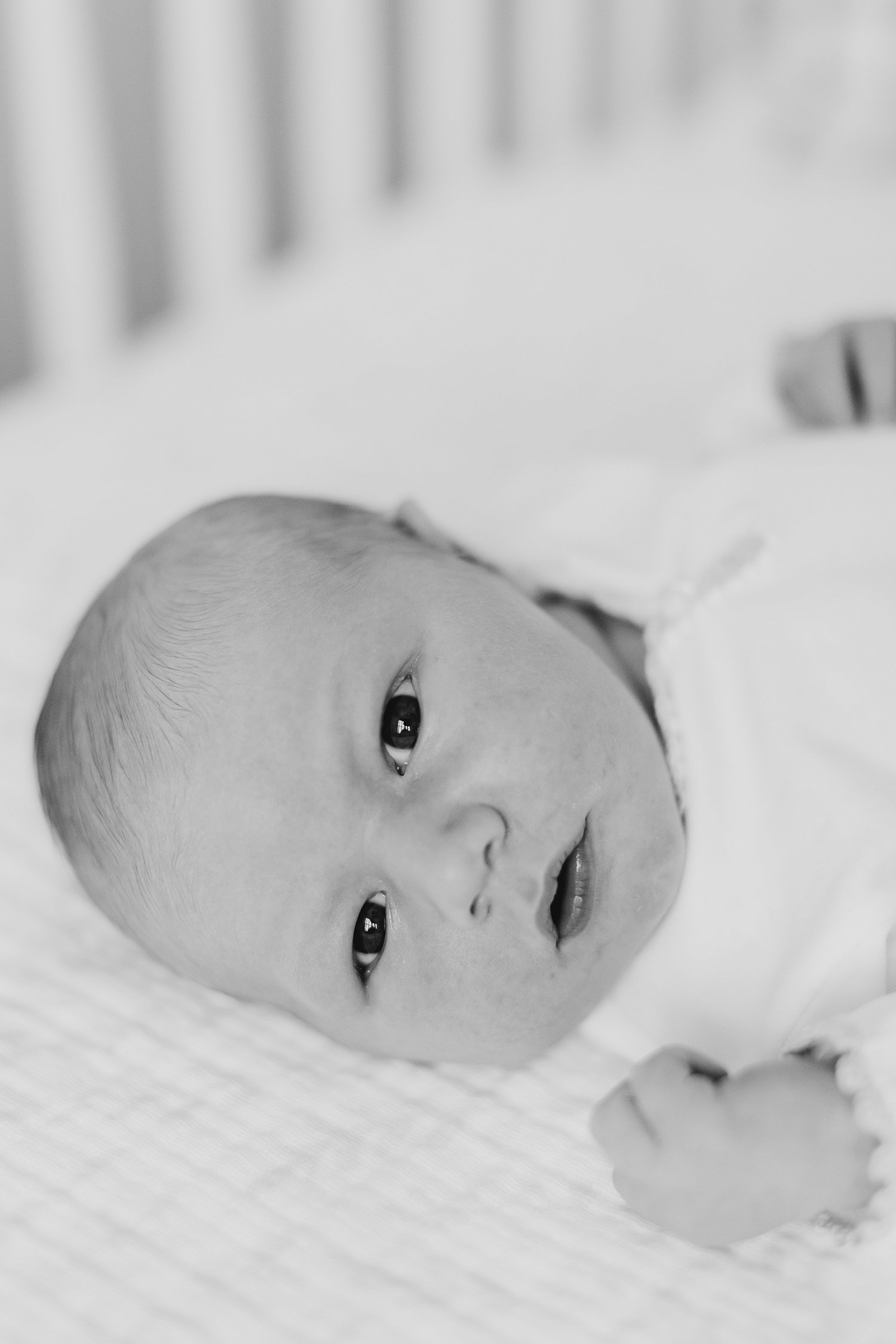 sarah-schmidt-photography-virginia-newborn-photographer-elegant-in-home-lifestyle-newborn-session-with-golden-retriever_0005.jpg
