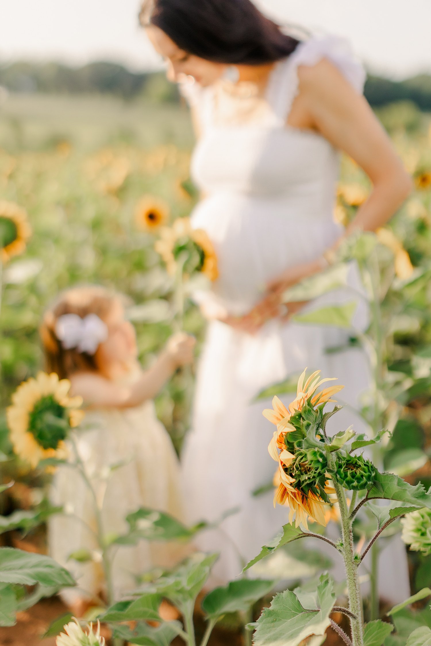 sarah-schmidt-photography-virginia-family-photographer-summer-sunflower-field-maternity-session_0025.jpg