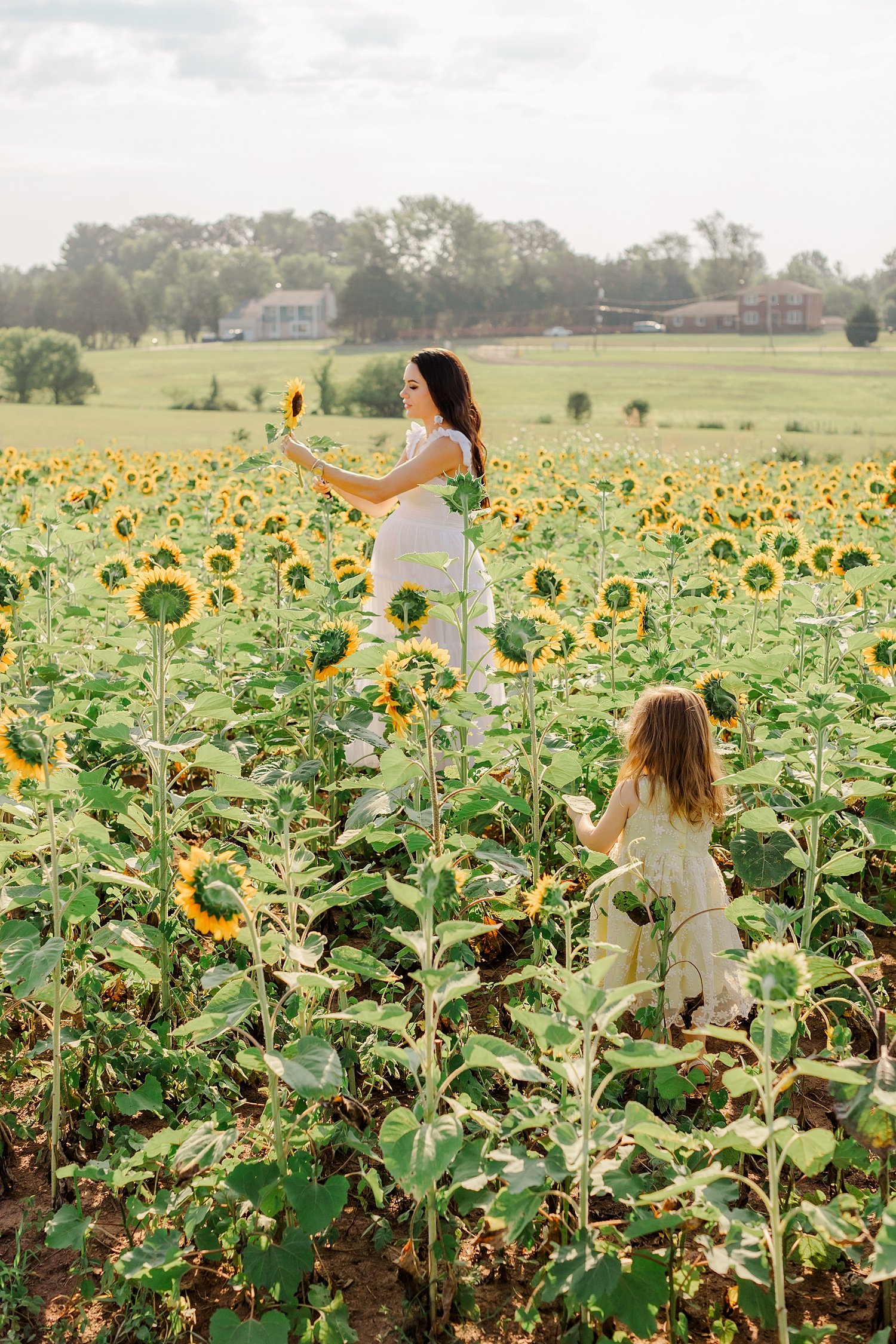 sarah-schmidt-photography-virginia-family-photographer-summer-sunflower-field-maternity-session_0056.jpg