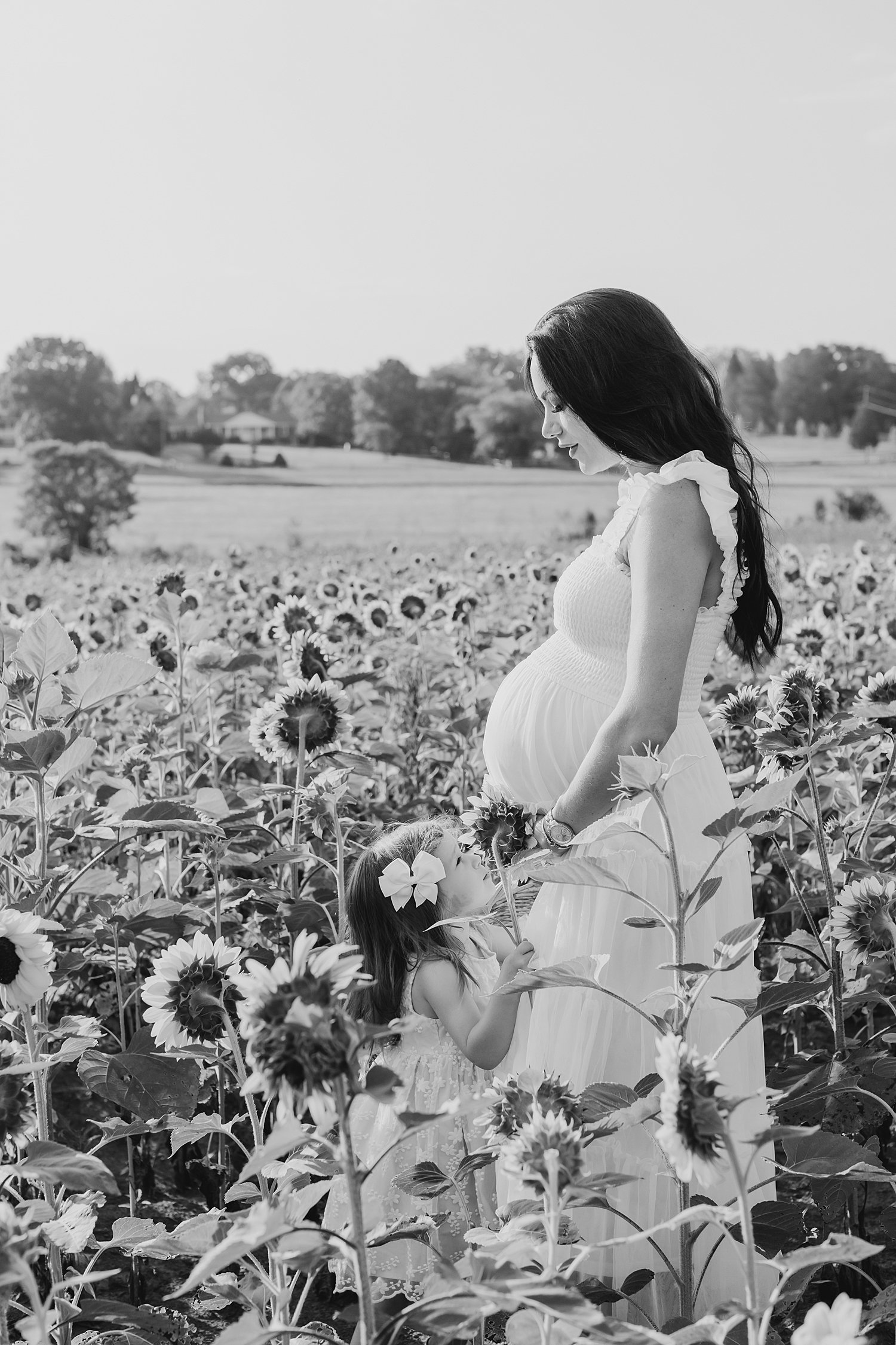 sarah-schmidt-photography-virginia-family-photographer-summer-sunflower-field-maternity-session_0026.jpg